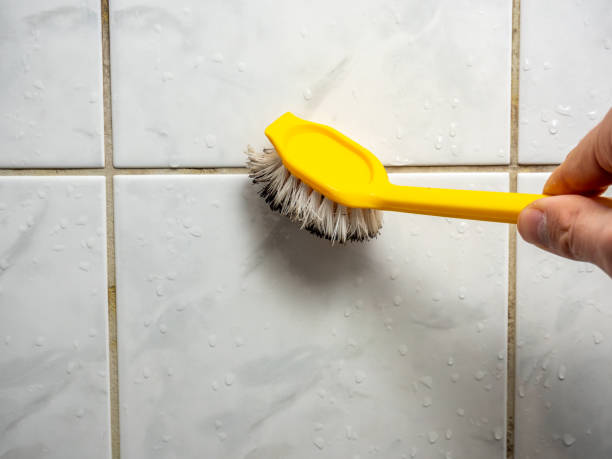 Best Mold Removal Process  in Reinbeck, IA